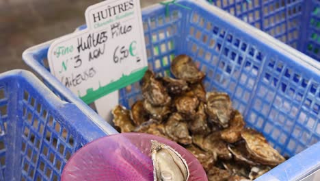 fresh oysters displayed in a market basket