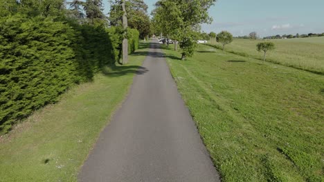 straight path lined with lush greenery and trees on a sunny day