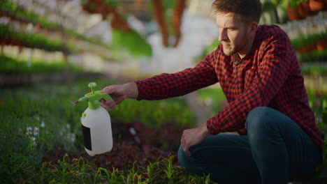 close-up of farmer spraying plants with fertilizer