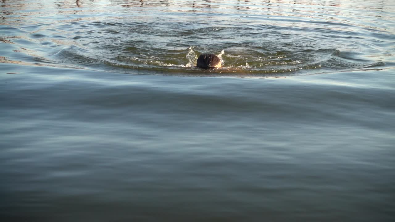 The man swims in the sea in the summer evening. Slow motion