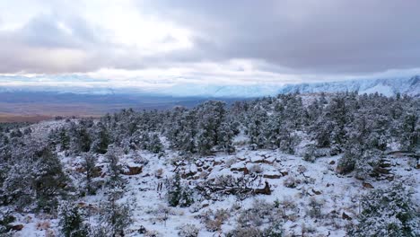 2020-hermosa-Antena-Sobre-Paisaje-De-árboles-Congelados-Y-Montañas-Cubiertas-De-Nieve-En-Las-Sierras-Del-Este-Cerca-De-Bishop-California