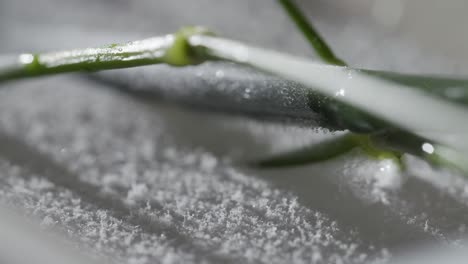 Abstract-macro-Shot-of-frozen-flower