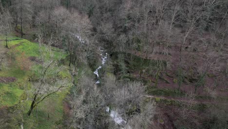 aerial view of serene woodland creek