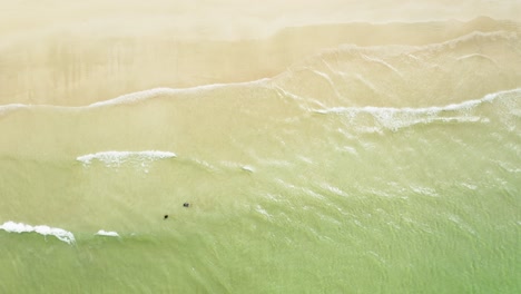 Toma-De-Arriba-Hacia-Abajo-De-Un-Dron-De-Una-Playa-Llana-Y-Olas-De-Mar-En-Calma