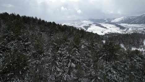 Winter-in-mountains-and-wild-forests-covered-in-snow-at-morning-sunrise-with-flare-sunrays-in-the-cloudy-sky