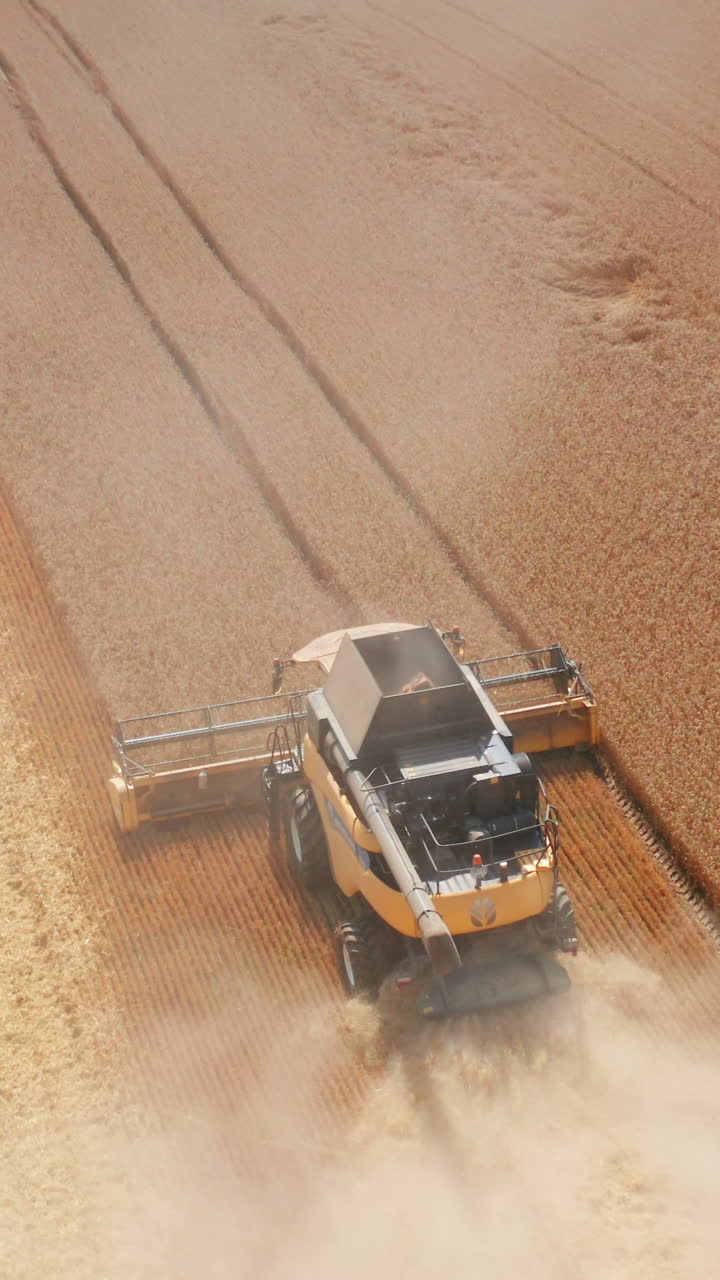 New modern combine harvester mowing dry wheat in the field. Yellow agricultural machinery picking crops on the harvesting season. Vertical video