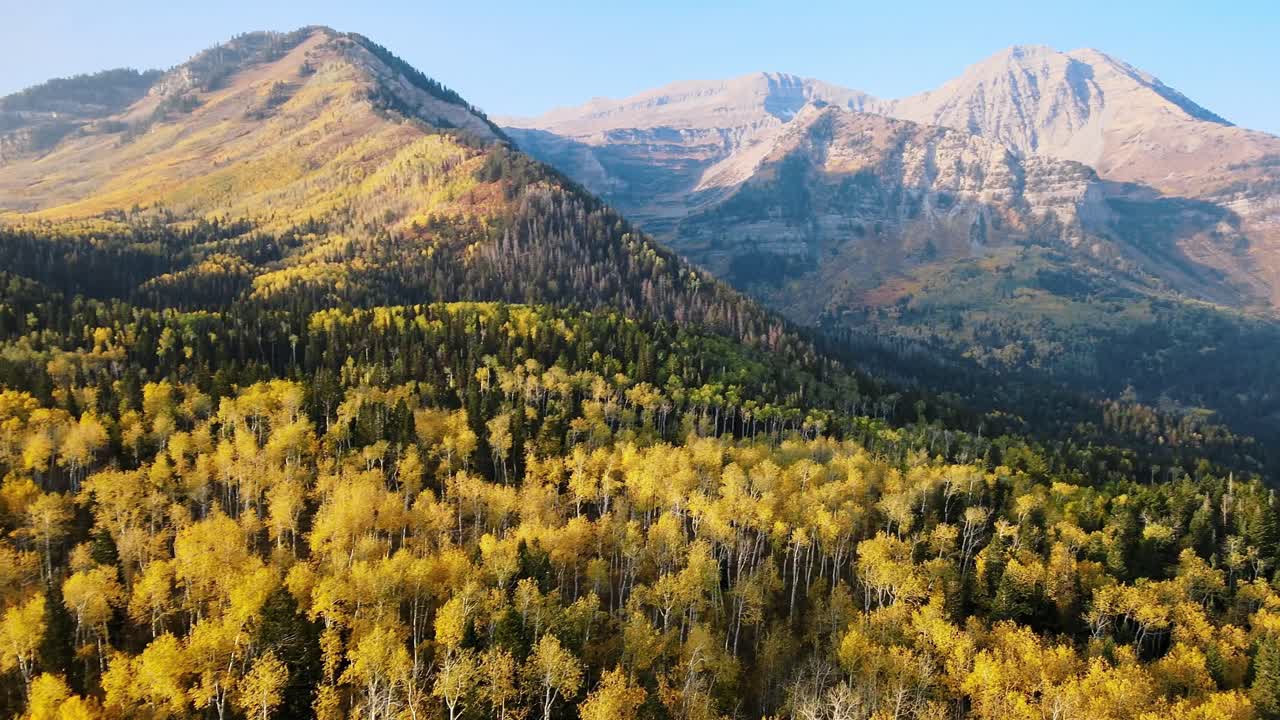 Panoramica delle bellissime foglie autunnali che circondano il Monte Timpanogos, Utah