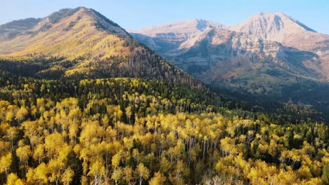 establishing shot of the beautful fall leaves surrounding mount timpanogos, utah