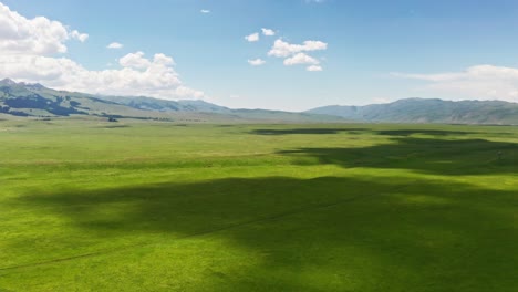 vast grasslands and mountains in a fine day.