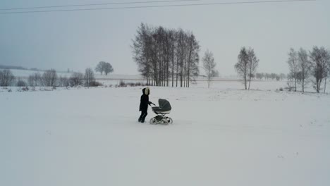 single mother push baby stroller on snowy road, scenic winter landscape