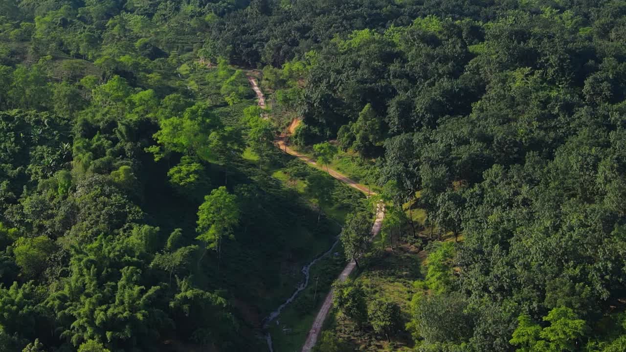 vista aérea del camino rural atraviesa el bosque montañoso en bangladesh, sylhet