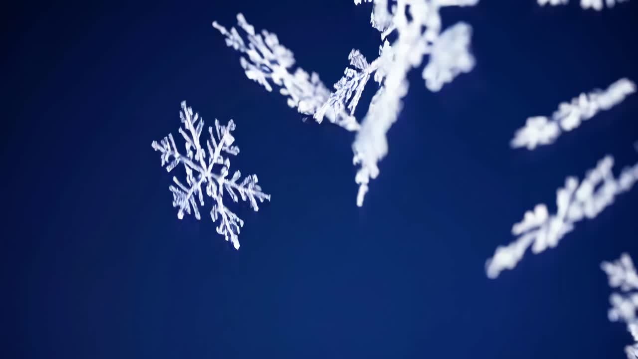 Close-up video of delicate snowflakes against a deep blue background, captured from a low angle