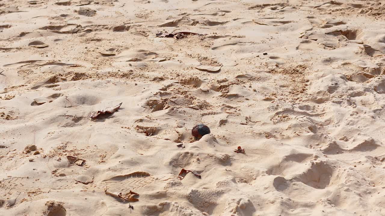 A person kicks a coconut along a sandy beach, showcasing playful movement and sunny outdoor ambiance
