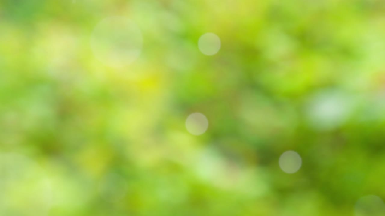 fondo de resorte abstracto con bokeh