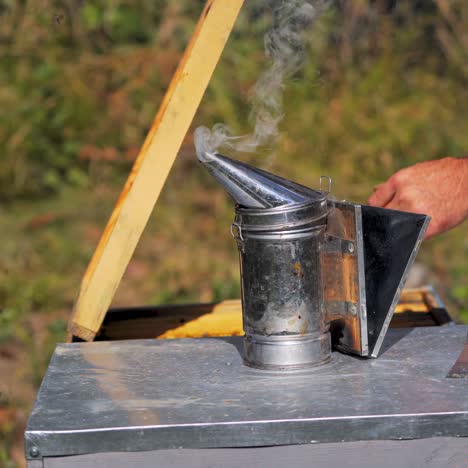 bee smoker on apiary. beekeeper working with hives uses chimney with smoke to protect from bees. beekeeping process in summer nature