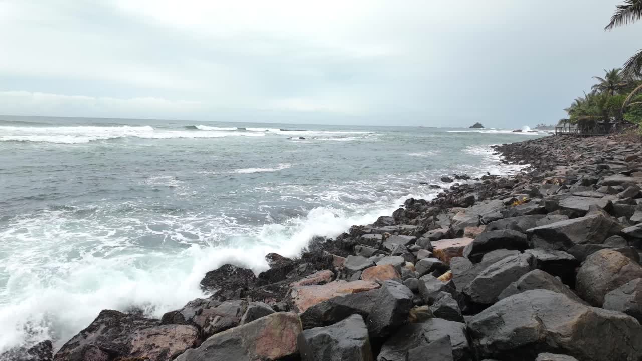 South Sri Lanka Indian ocean rocky coastline tropical palm tree nature landscape
