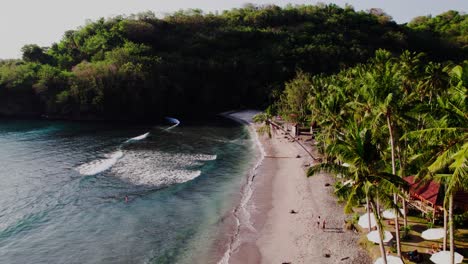 Coconut-Palm-Trees-On-Sandy-Shore-Of-Gamat-Bay-In-Nusa-Penida,-Bali,-Indonesia