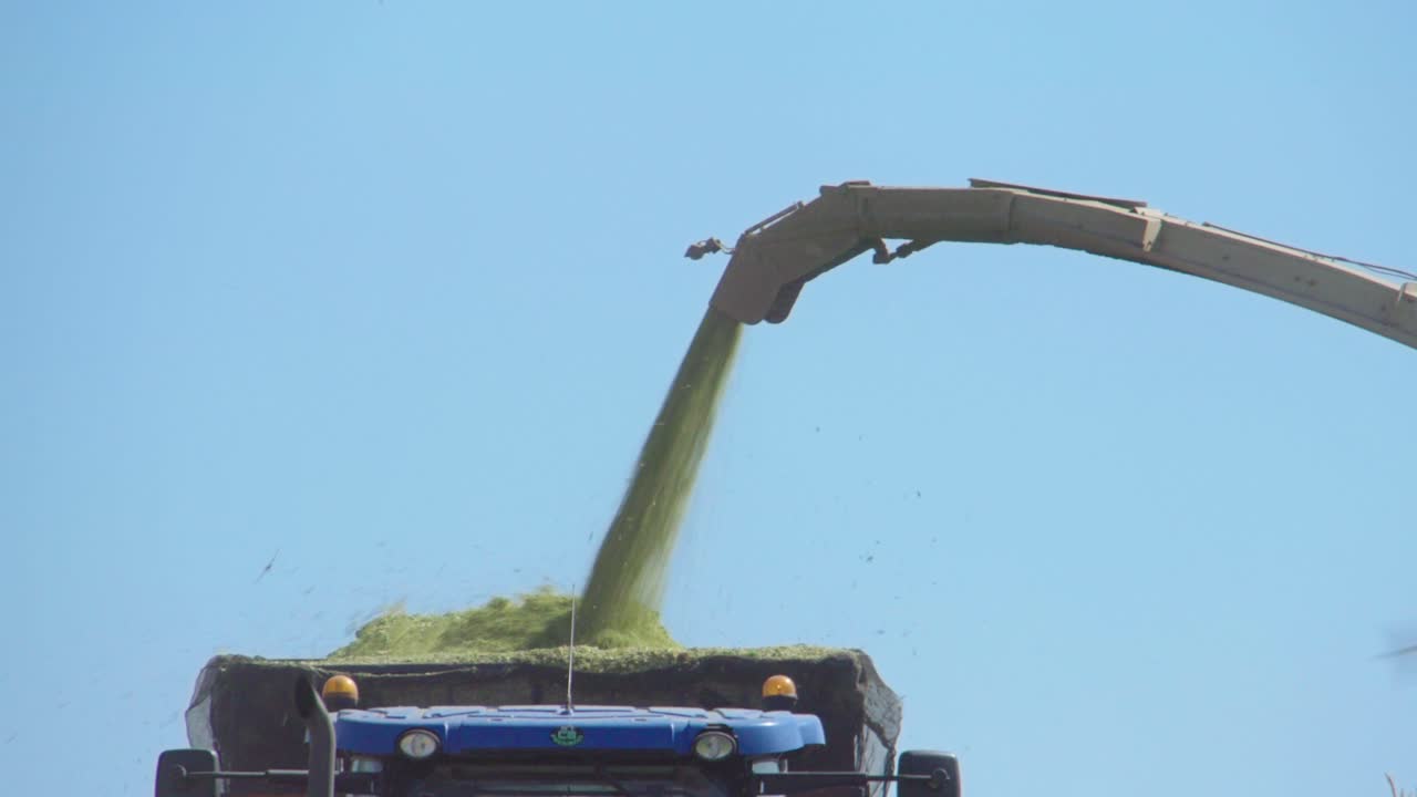 A combine harvests corn in a field sending the corn to a nearby tractor trailer with a blue sky
