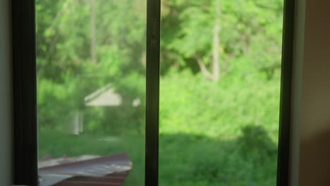 Dog looking out a window at lush green trees on a sunny day