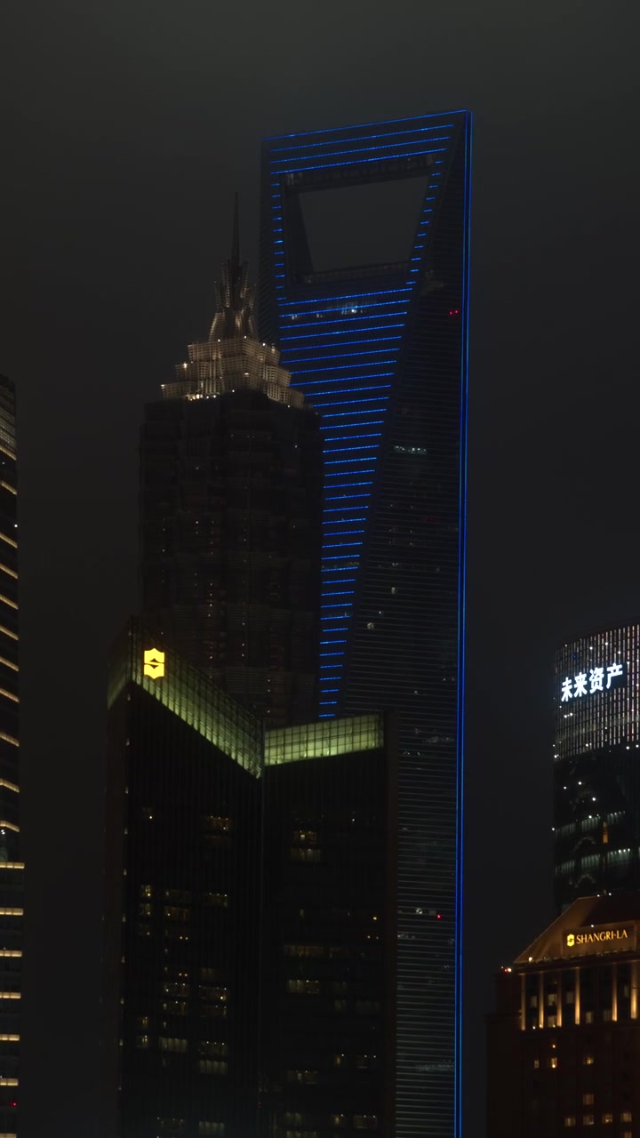 Skyline di Shanghai: Grattacieli di notte
