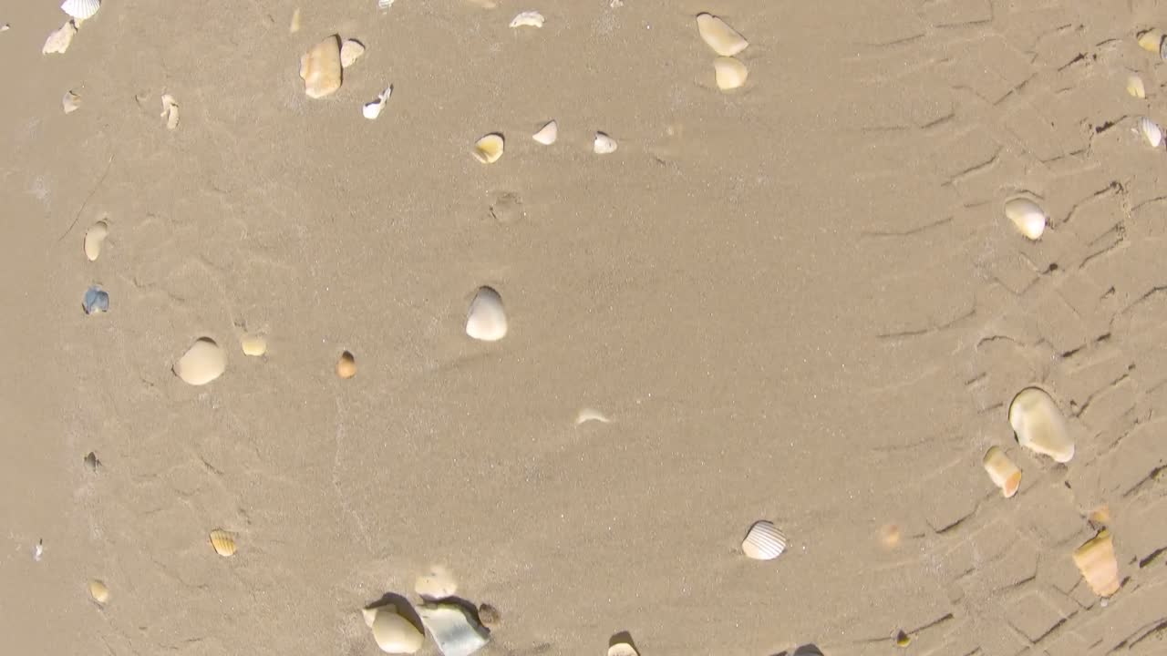 해변에서 운전하는 동안 모래와 포탄 차량 아래에서 pov - 관점