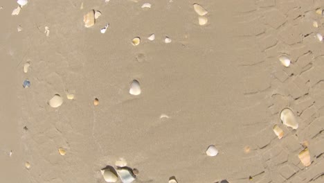 punto de vista debajo del vehículo de arena y conchas mientras conduce en la playa - punto de vista