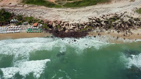 Vista-Superior-De-Los-Pájaros-De-Drones-Aéreos-De-Pequeñas-Olas-Que-Chocan-Contra-Las-Rocas-En-La-Famosa-Playa-De-Amor-Tropical-En-Pipa-Brasil-En-Rio-Grande-Do-Norte-Con-Arena-Dorada,-Agua-Turquesa-Cálida-Y-Sombrillas-Coloridas