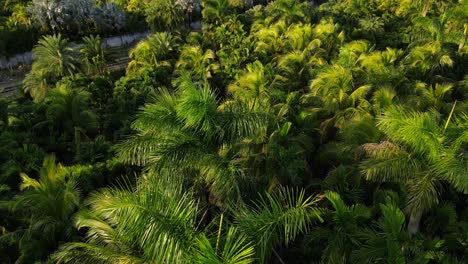 Vista-Aérea-De-Palm-Threes-En-Florida