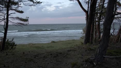 Stormy-sea-scene-with-waves-gushing-towards-the-shoreline-in-slow-motion,-fir-trees-enveloping-around-the-scene