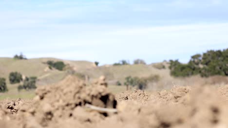 rack focus from soil to rolling hills in distance