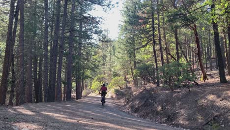 mtb off road mountain bike cyclist going away in oregon, usa