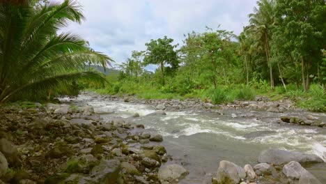 monsoon rain has turned small creek into a raging stream through lush vegetation