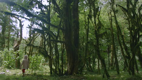 niño caminando a través de un bosque exuberante y cubierto de musgo