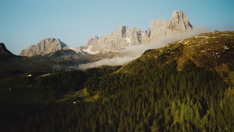 Descend-aerial-truck-shot-of-green-forest-trees-growing-in-high-Dolomites-of-Italy