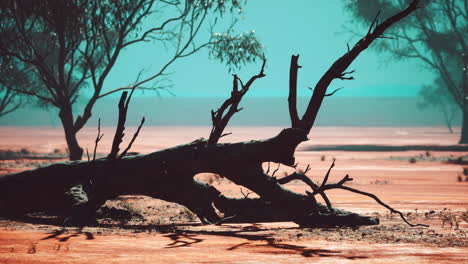 Grandes-árboles-De-Acacia-En-Las-Llanuras-De-Sabana-Abierta-De-Namibia