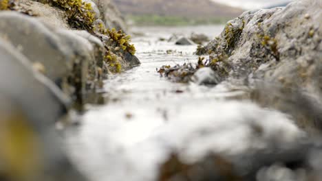 gentle ocean waves lap against rocks, rushing into focus as they are forced through a narrow gap in the rocks towards the camera which is focused on seaweed filled rockpools