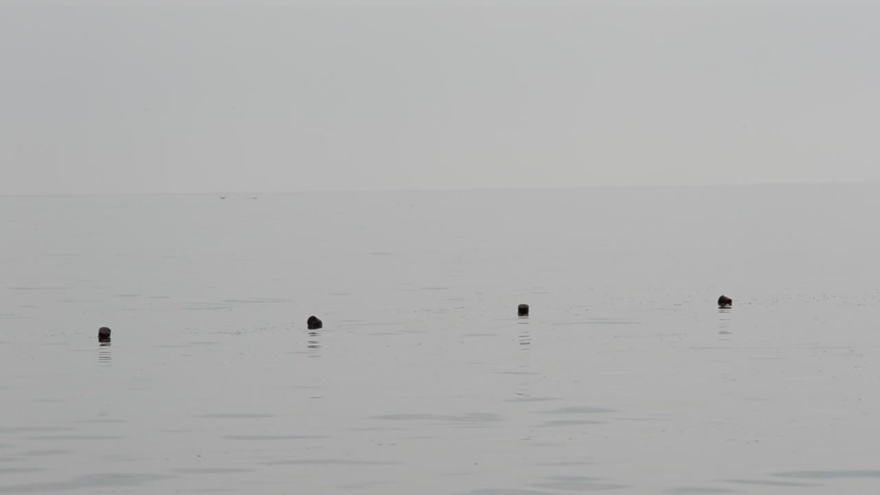 Chain of buoys at sea