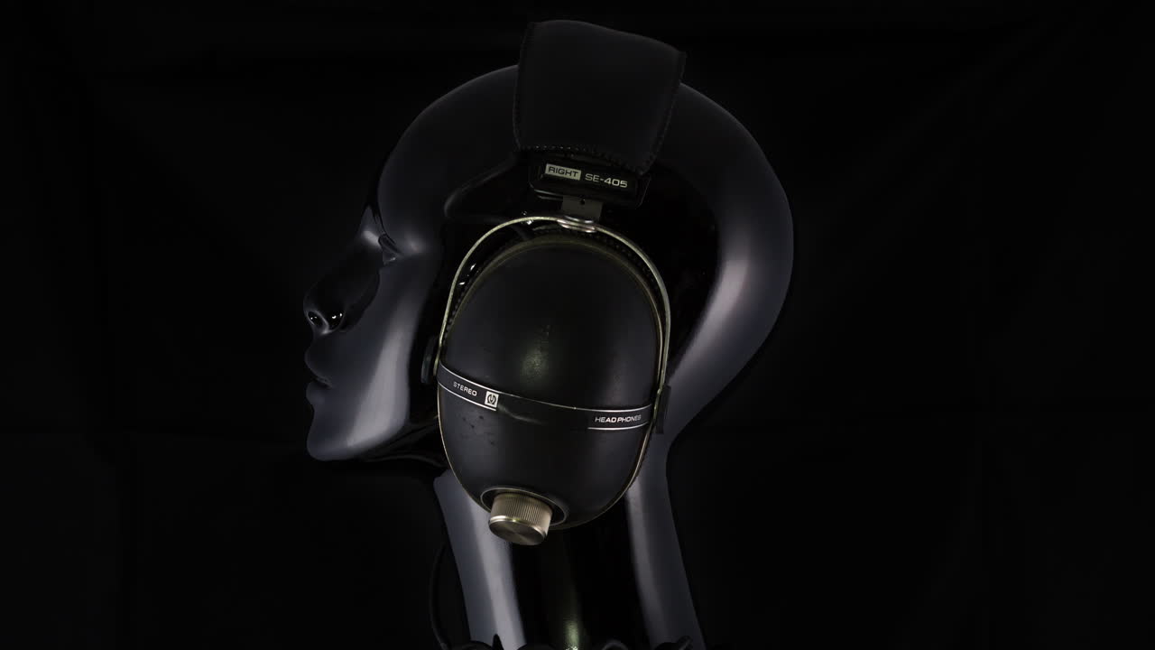 giro de cabeza negra 4k 04