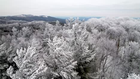 북캐롤라이나 주 부인 (boone, nc) 근처의 나무에 겨울에 얼음과 얼음이 쌓여 있고 북캐롤라이나주 부닝 록 (blowing rock, nc) 에 있습니다.