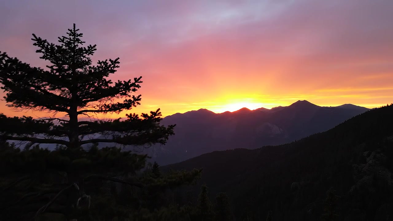 Majesteettinen auringonlasku vuorenhuippujen yllä ikivihreän puun siluetin kera