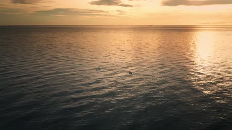 local fishing boats out at sea early morning with bright orange sunshine on water surface, aerial