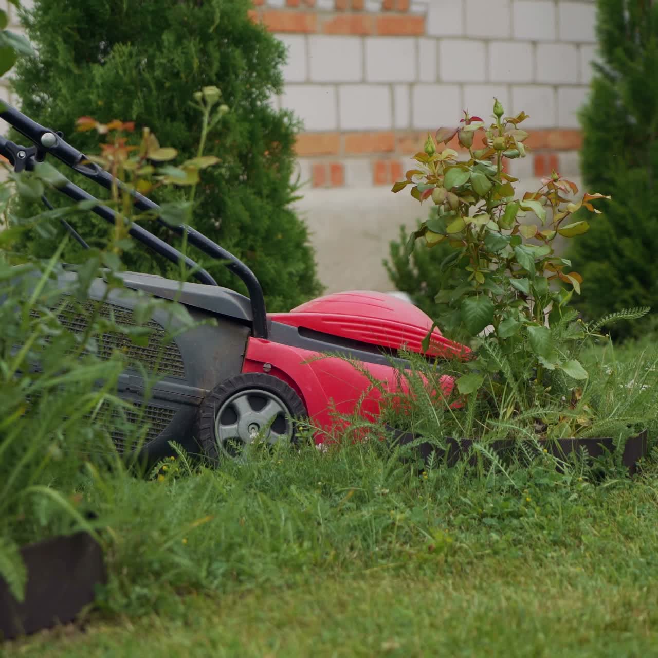 a woman is mowing the grass with a lawn mower near the house on the bckground of decorative trees in the yard