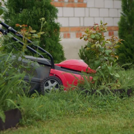 a woman is mowing the grass with a lawn mower near the house on the bckground of decorative trees in the yard
