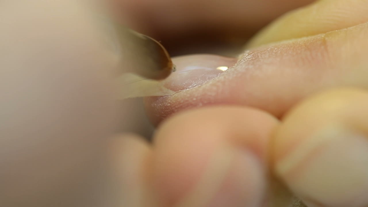 Professional manicure for woman by manicure saloon