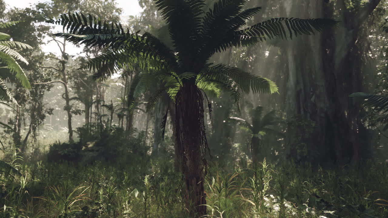 빛이 울창한 정글을 가로질러 필터링