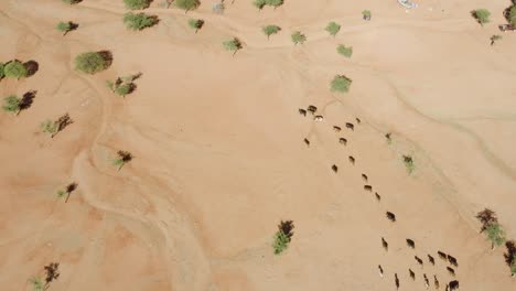 República-De-Namibia-En-El-Sur-De-áfrica