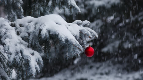 Snow-Falling-On-A-Pine-Tree-With-Red-Christmas-Ball-During-Christmas-Season