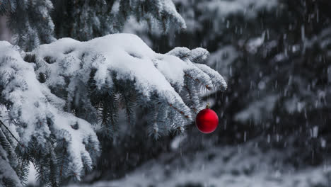 雪落在松樹上,在聖誕節期間有紅色聖誕球