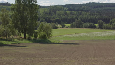 timelapse de dos meses de un campo de cultivo que cobra vida