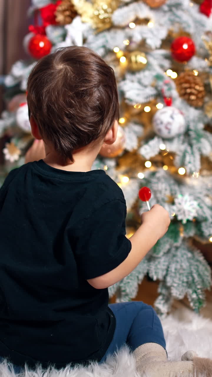 Rear view of a little boy in black t-shirt sits in front of Christmas tree. Toddler touches the toys on the tree. Vertical video